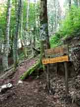 Via Normale Monte Taburno - Segnaletica lungo il sentiero