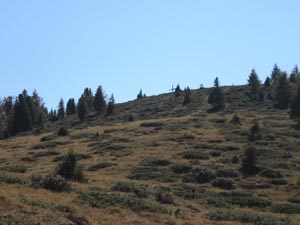 Via Normale Salzla - Monte di Tesido