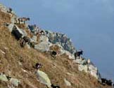 Via Normale Pizzo Guardiello - La Val Bregaglia dalla vetta del Guardiello