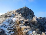 Via Normale Cima della Rosetta - La vetta dal sentiero della cresta NE