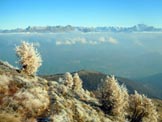 Via Normale Cima della Rosetta - Panorama verso N, da 30 m sotto la vetta