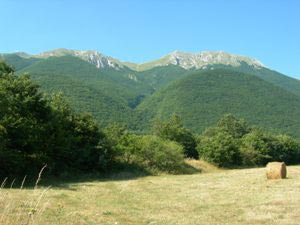 Via Normale Monte di Cambio (da N)