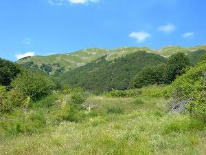 Via Normale Cima della Laghetta - Anticima S (da W)