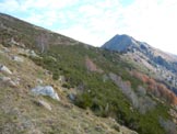 Via Normale Monte Bassetta - In salita sul versante S, a destra il M. Brusada