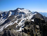 Via Normale Cima di Malvedello - Il Monte Spluga e in basso parte della cresta ENE, dalla vetta