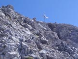 Via Normale Monte Bivera - Gli ultimi metri prima della cima