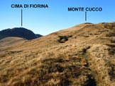 Via Normale Monte Cucco - Sulla cresta NE, a poche decine di metri dalla cima