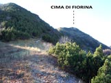 Via Normale Cima di Fiorina - In salita, poco prima del Passo di Fiorina