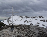 Via Normale Cima delle Grole - La croce di vetta e sullo sfondo Cima Carega.