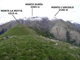 Via Normale Monte la Motta - La cima, da S