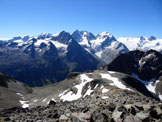 Via Normale Piz Surlej  Versante W - Panorama di vetta sul Gruppo del Bernina