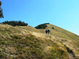 Via Normale Monte Alfeo - La rampa finale