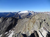 Via Normale Cristallina - Il Monte Basodino e il suo ghiacciaio, dalla vetta del Cristallina