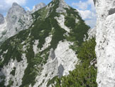 Via Normale Torre della Cima delle Cengie - la cengia con mughi del secondo tiro