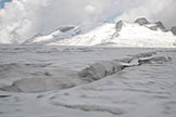 Via Normale Monte Adamello - Crepacci sul Pian di neve