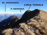 Via Normale Cima Tonale - La vetta