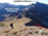 Via Normale Cima Tonale - In discesa, poco sotto la vetta