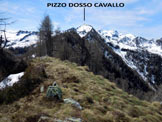 Via Normale Pizzo Berro  Pizzo Dosso Cavallo - Lungo la traversata di cresta