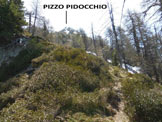 Via Normale Pizzo Pidocchio e Monte Vespolo - In salita, nel bosco