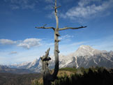 Via Normale Col Dur - L´albero rinsecchito del Crocifisso