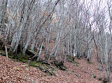 Via Normale Monte Penna - il sentiero di salita