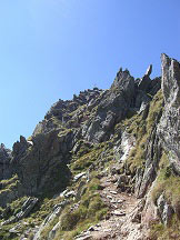 Via Normale Monte Gruppo/Grubbachspitze - In prossimit della cima