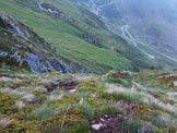 Via Normale Pizzo d'Orta - I ripidi pendii erbosi del versante S del Pizzo dOrta