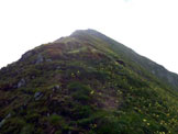 Via Normale Monte Azzarini (o Fioraro) - vers. W - Sullultimo tratto della cresta W