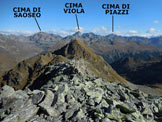 Via Normale Pizzo Trevesina (o Piz Trevisina) - Panorama di vetta, verso NE