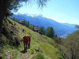 Via Normale Pizzo Ricuca - Lungo il sentiero dopo lAlpe Rogliei