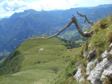 Via Normale Pizzo della Pieve (cresta E) - I rami secchi posti alla base della cresta E