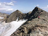 Via Normale Schildspitz - Punta dello Scudo - Verso il Passo dello Scudo