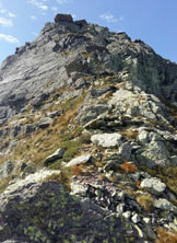 Via Normale Pizzo Camilla - Salita alla cima