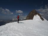 Via Normale Cima di Piazzi dalla Val Grosina - Cresta di neve NE