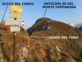 Via Normale Zucco del Corvo - Sul sentiero che aggira ad E il cocuzzolo sommitale, a 20 metri dalla cima