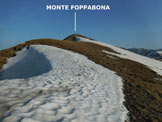 Via Normale Monte Foppabona - Lungo lelementare cresta SE del M. Foppabona