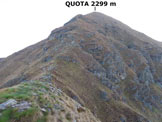Via Normale Piancone Basso - Panorama di vetta, verso N (parte intermedia della cresta S del Monte Legnone)