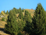 Via Normale Monte Campondola - Il Monte Campndola da S, dallitinerario di salita
