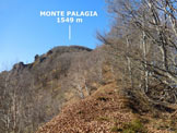 Via Normale Monte Palagia - Allinizio del boscoso costone E del Monte Palagia