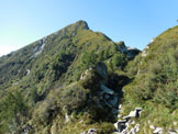 Via Normale Monte Pisello - dalla Val Tartano - Immagine ripresa alla Sella (q. 2126 m), allinizio della cresta N del M. Pisello