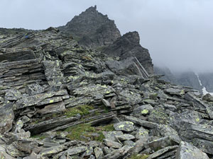 Via Normale Adula o Rheinwaldhorn via Malvaglia