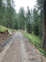 Via Normale Adula o Rheinwaldhorn via Malvaglia - La sterrata che sale da Cusi