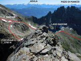 Via Normale Pizzo di Scinghign - In discesa dalla cresta NE