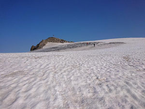 Via Normale Weisseespitze - Cresta Ovest