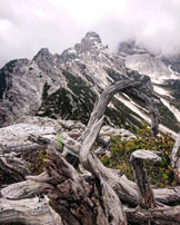 Via Normale Monte Petorgnon - Cima della Gardesana