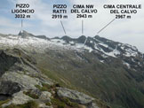 Via Normale Cima del Cavr - Panorama di vetta, verso NE