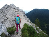 Via Normale Monte Chiampon - Passo della Signorina 