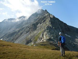 Via Normale Pizzo Tamb  Cresta Nord - La cresta N del Pizzo Tamb, dalla (q. 2620 m)