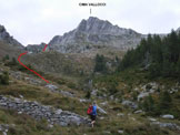 Via Normale Cima Vallocci - Cresta N - Immagine ripresa poco sopra il baitone della Casera Comunello