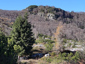 Via Normale Monte Ciastelat  ( o Cjastelat )